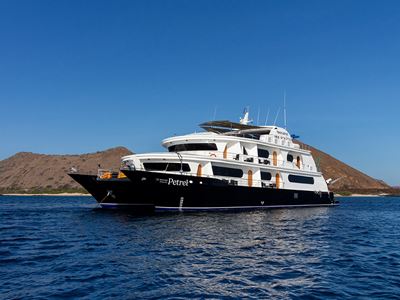 Petrel Exterior 4