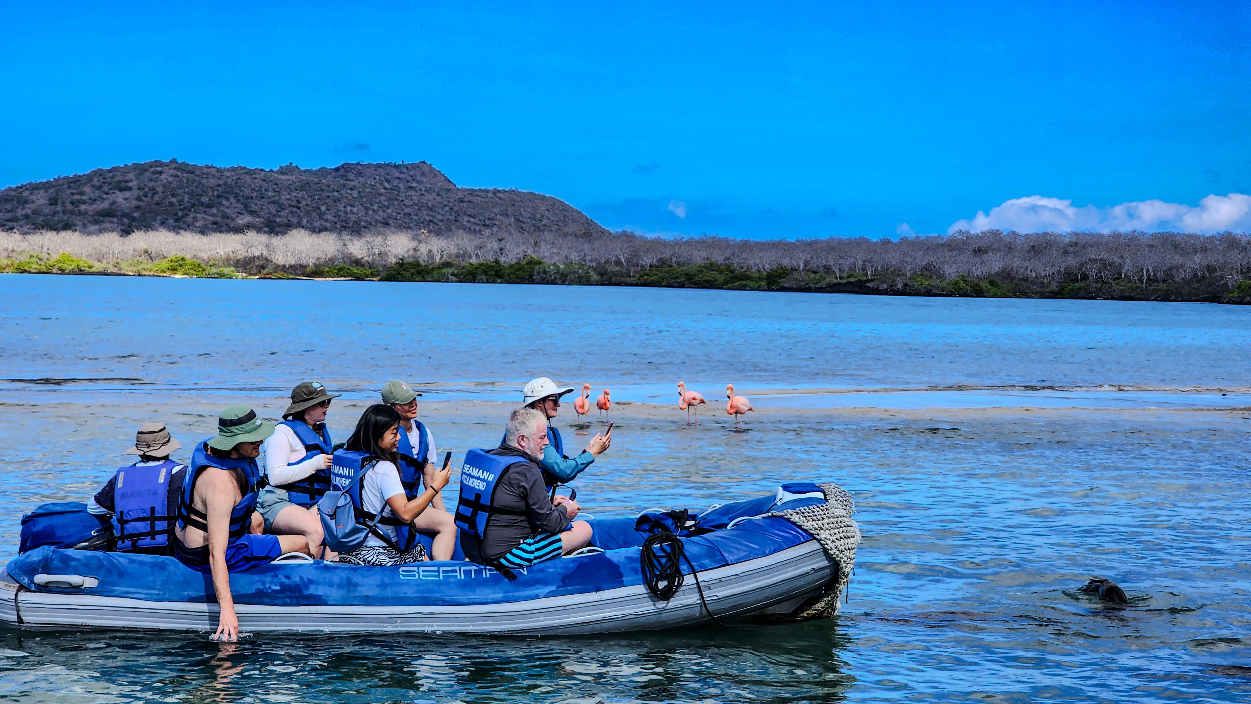 02 Moreno Point - People in dinghy - Flamingo