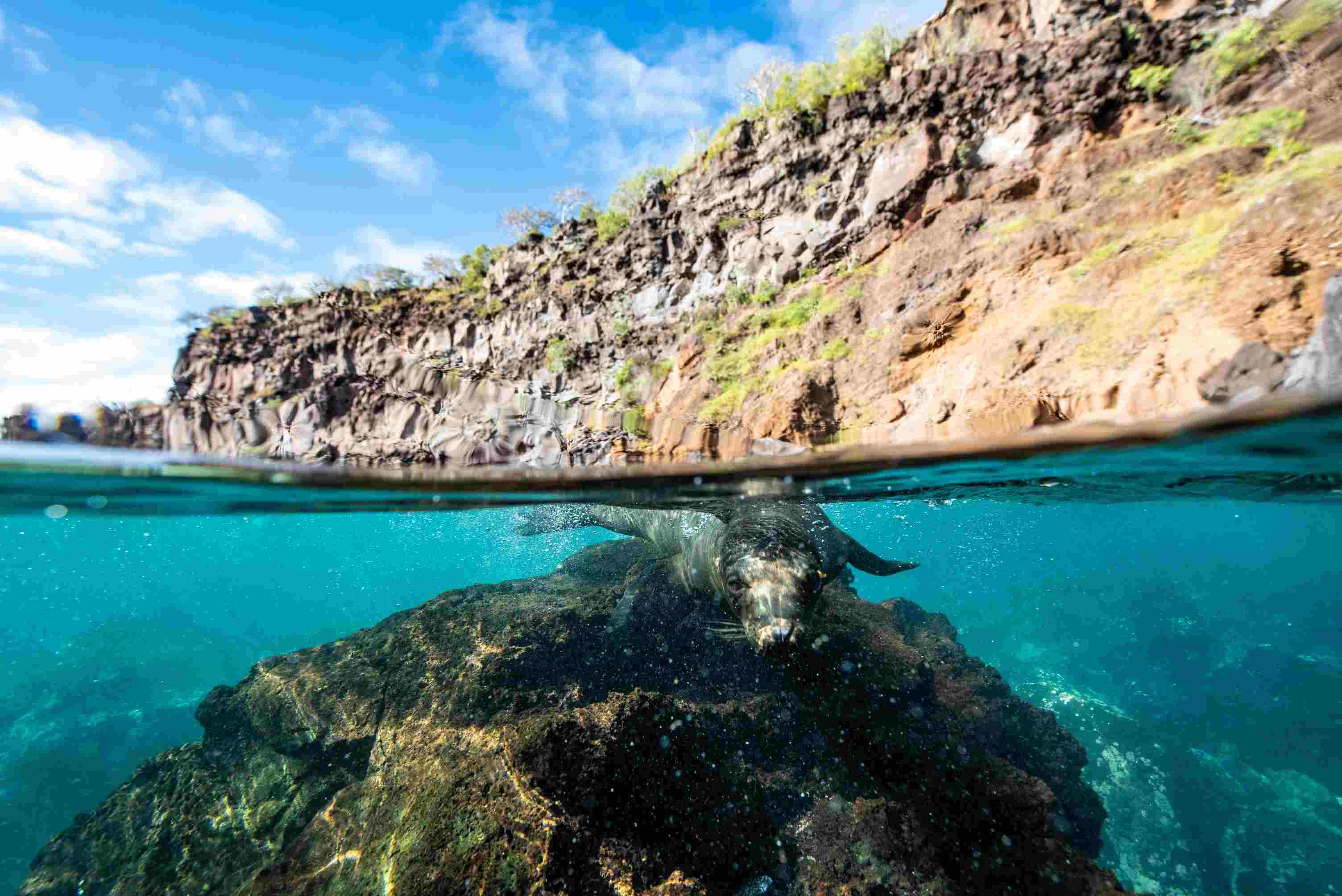 04 Punta Suarez Española