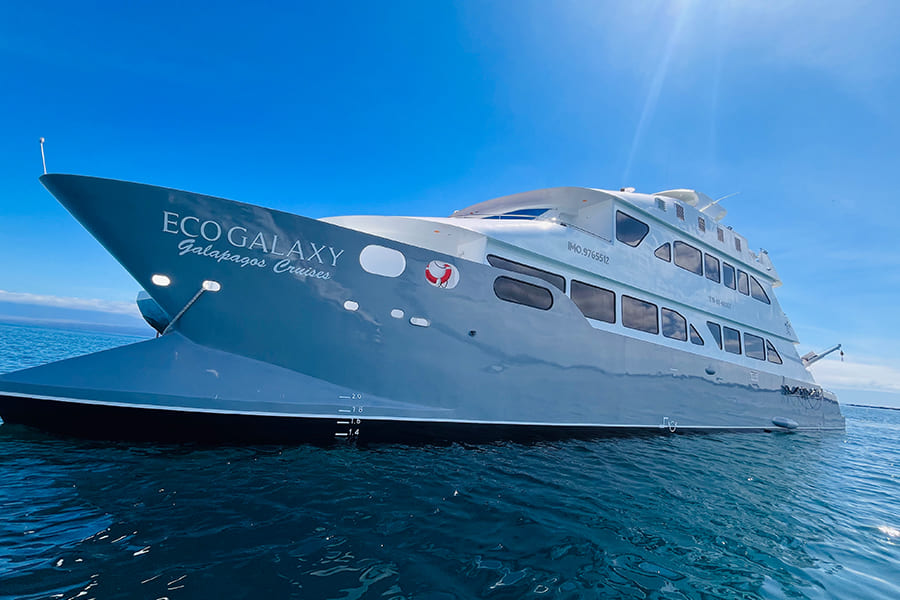 Ecogalaxy Catamaran Exterior 5