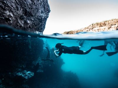 Vessels Page Interest Snorkelling