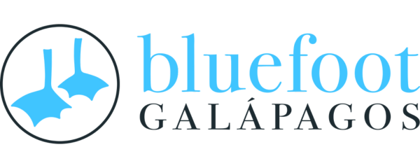 Blue Foot Galapagos