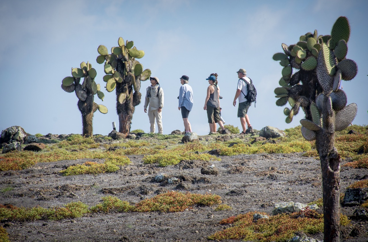 05 South Plaza Island