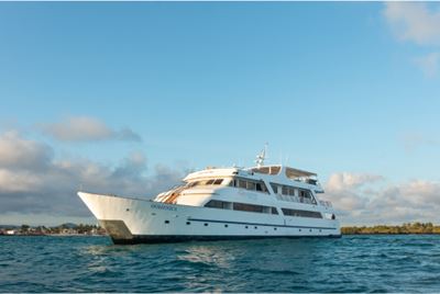 Sea Star Exterior