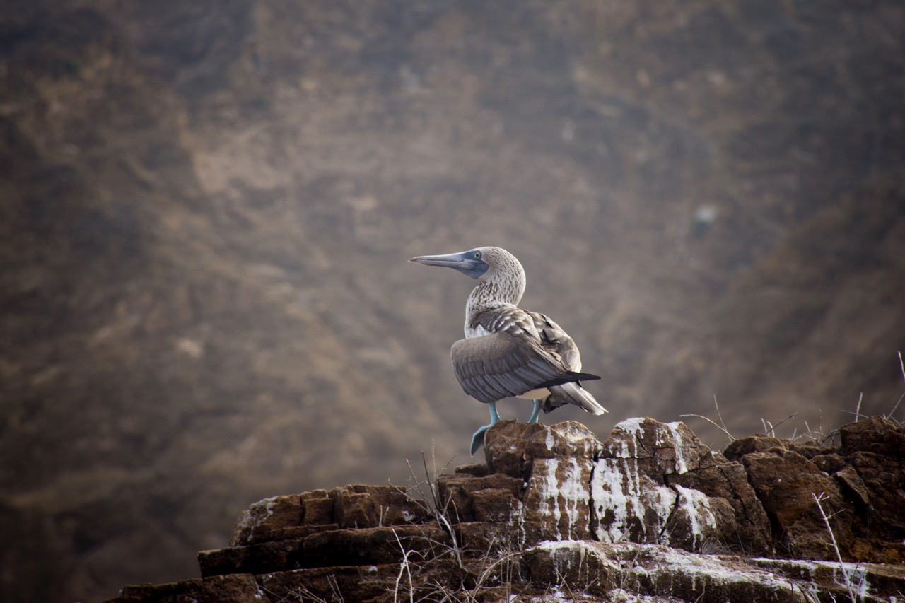 04 Punta Vicente Roca