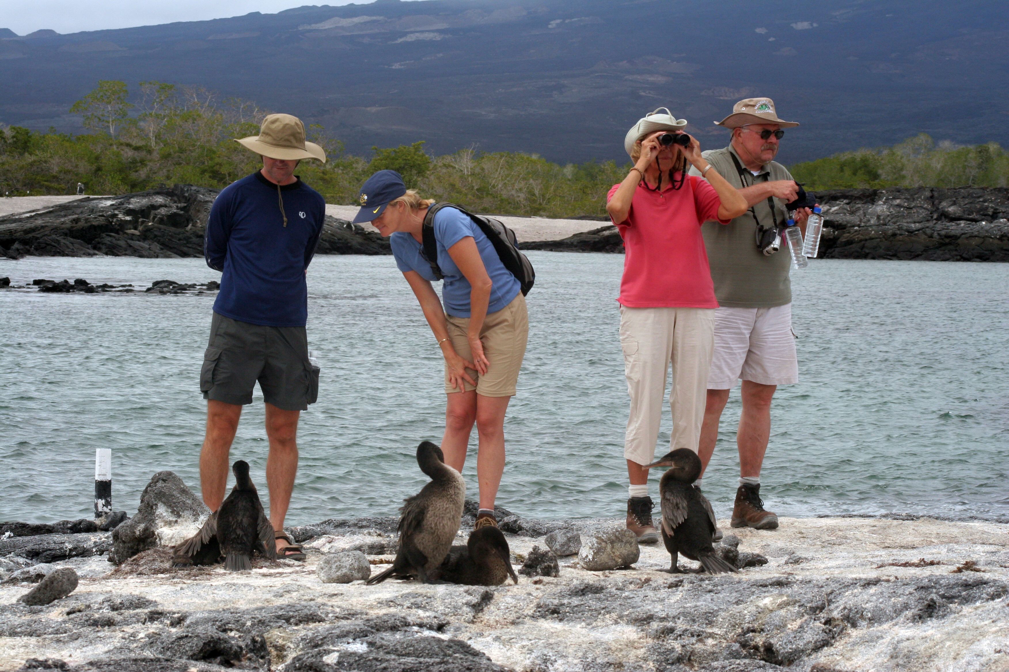 Wildlife viewing in the Galápagos