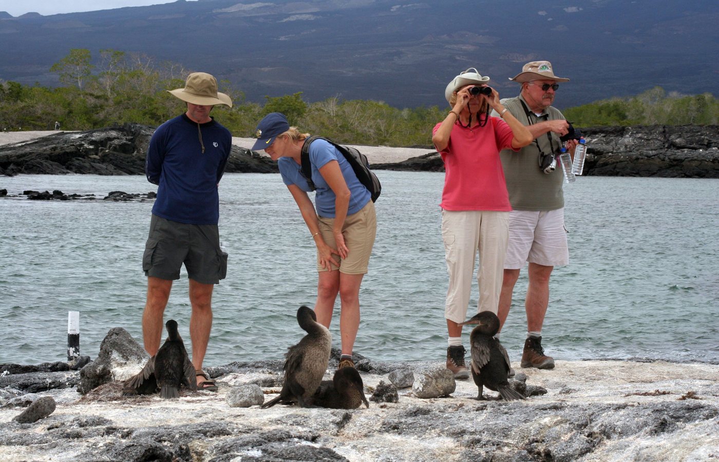 Wildlife viewing in the Galápagos
