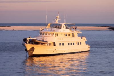 Coral II Exterior